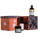 Davines NaturalTech Nourishing Holiday Kit 3 pc.